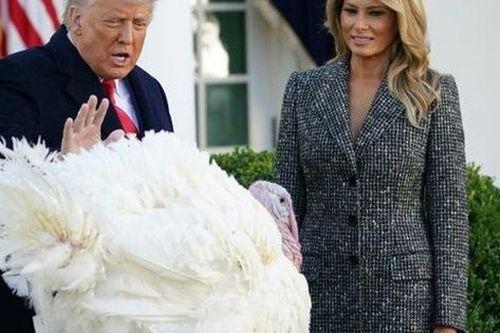 Ông Trump làm lễ xá tội gà tây