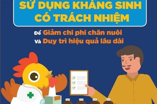 Việt Nam đẩy mạnh hoạt động phòng chống kháng kháng sinh