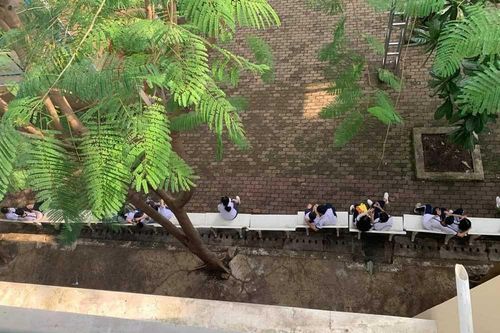 Nữ sinh ngồi trong sân trường gây sốt MXH: Tâm 'bất dính' giữa dòng đời 'vạn thính'