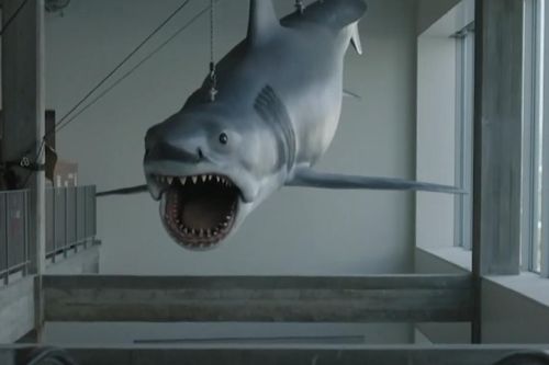 Mô hình cá mập trong phim Jaws được đem trưng bày sau 40 năm