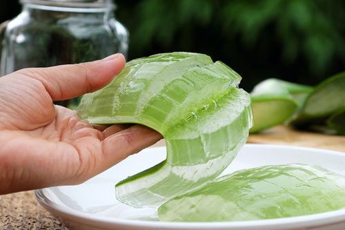 Ai không nên dùng nha đam?
