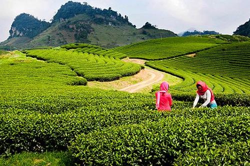 Không khí lạnh cường độ nhẹ tiếp tục tạo ra thời tiết dễ chịu