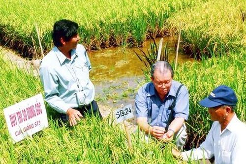 Để miền Tây khỏe mạnh hơn