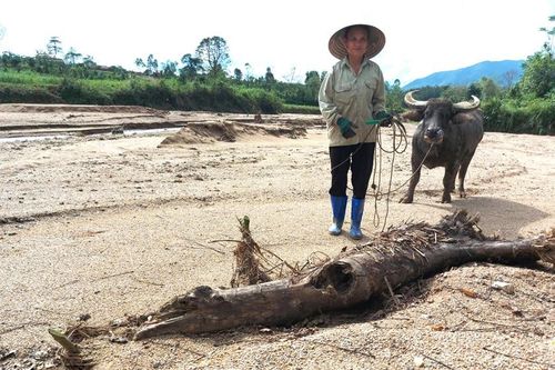 Miền Trung ruộng đồng bồi lấp, nông dân khốn đốn