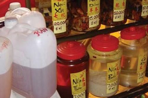 Cần quản chặt rượu tự nấu, tự ngâm