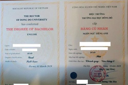 Bộ Giáo dục sẽ xử nghiêm trường hợp sử dụng bằng giả của Đại học Đông Đô