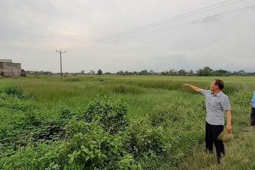 Yên Dũng (Bắc Giang): Cần xử lý dứt điểm sai phạm về đất đai theo kết luận thanh tra