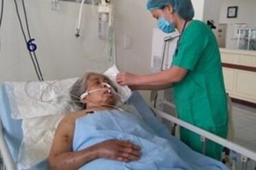 Bắc Giang: Cụ bà gần 80 tuổi nguy kịch do bị con mò đốt