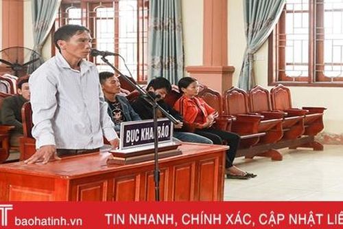 Thuê người chặt phá rừng ở Hương Sơn, lĩnh án 12 tháng tù giam