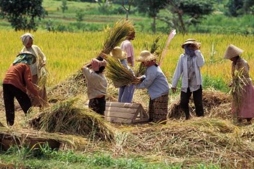 RCEP: Indonesia sẽ bỏ một số mặt hàng khỏi cam kết dỡ bỏ thuế quan
