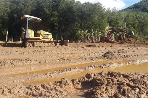 Huyện miền núi Bình Định khôi phục sản xuất sau mưa lũ