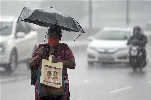 Bão Nivar lớn gây nhiều thiệt hại tại Ấn Độ