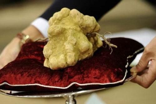 'Thích thú' những thực phẩm 'sang chảnh' nhất thế giới