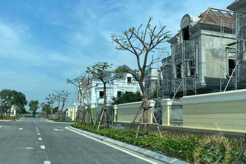 Bất động sản đang hút dòng tiền lớn
