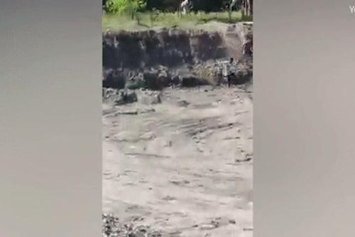 Lạc vào thị trấn, hổ Bengal vồ người đàn ông ngã xuống hố sâu
