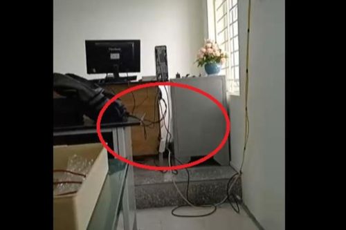 Cô giáo bỗng ngồi thụp xuống gầm bàn lúc giờ ra chơi, lại gần mới biết lí do cực kỳ bất ngờ