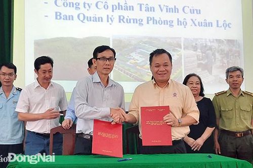 Kết nối vùng nguyên liệu hợp pháp cho sản xuất gỗ