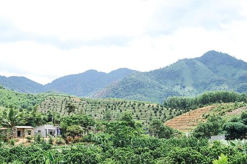 Khánh Sơn: Mong được đầu tư 2 hồ thủy lợi