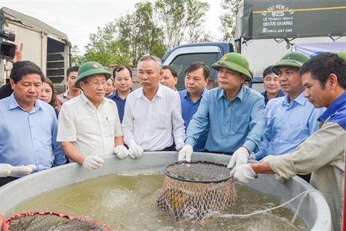 Đoàn công tác Bộ Nông nghiệp và PTNT: Kiểm tra và hỗ trợ khắc phục hậu quả lũ lụt tại Quảng Trị
