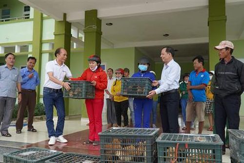 BIDV chi nhánh Quảng Ninh hỗ trợ 4.000 con gà giống cho người dân các huyện Cam Lộ, Đakrông