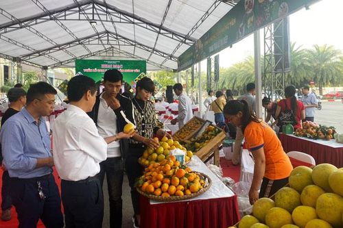 Khai mạc Tuần lễ cam và nông sản Hưng Yên năm 2020 tại Hà Nội