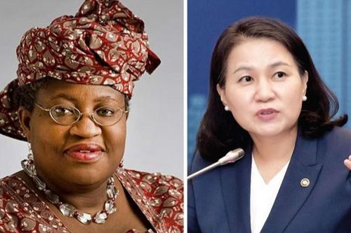 Thế giằng co trong cuộc bầu cử Tổng Giám đốc WTO