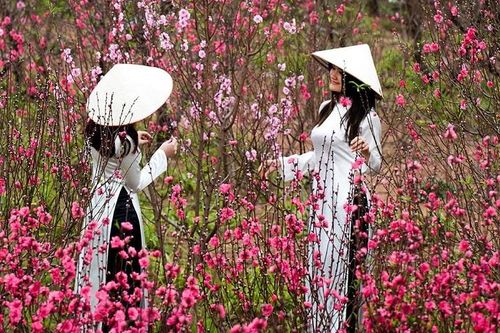 Nghỉ 7 ngày dịp Tết Nguyên đán Tân Sửu 2021