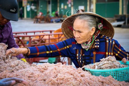 Ngư dân Hà Tĩnh trúng đậm mùa ruốc