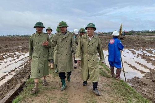 Nỗ lực tái thiết sản xuất nông nghiệp miền Trung sau thiên tai
