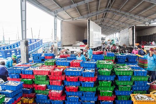 Sóc Trăng chú trọngphát triển kinh tế cảng biển