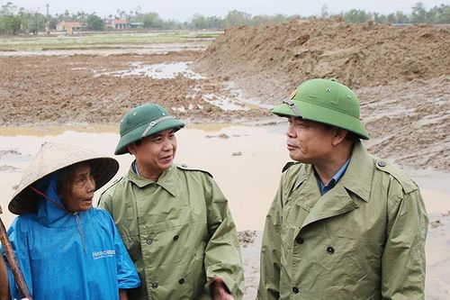 Phục hồi sản xuất nông nghiệp khu vực miền trung sau thiên tai