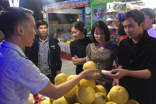 Hơn 300 gian hàng tham dự hội chợ OCOP tỉnh Phú Thọ