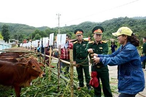 Trao bò, heo giống tặng 36 hộ gia đình tại huyện Nam Giang, tỉnh Quảng Nam