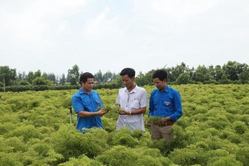 Cải thiện toàn diện kỹ năng nghề nông nghiệp