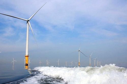 Việt Nam: Cường quốc điện gió ngoài khơi?