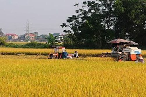 Công ty CP Supe Phốt phát và Hóa chất Lâm Thao: Khẳng định thương hiệu bằng chất lượng sản phẩm