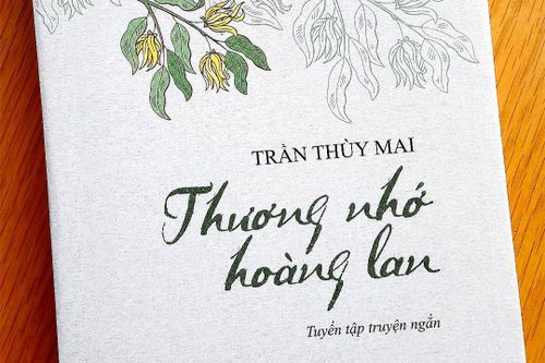 Dấu văn riêng biệt của Trần Thùy Mai trong 'Thương nhớ hoàng lan'