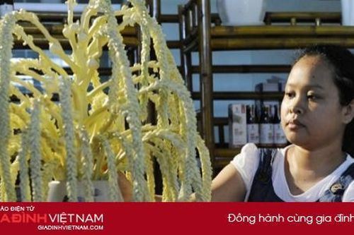 Mát xa hoa dừa, người phụ nữ Trà Vinh thu nửa tỷ mỗi tháng