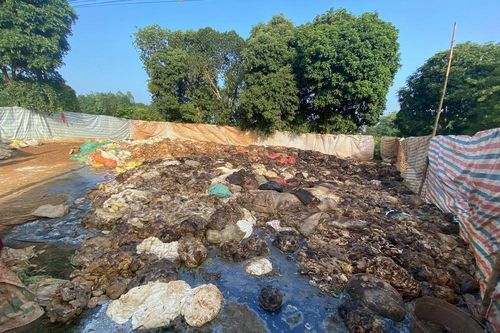 Người dân bức xúc vì điểm thu mua mủ cao su gây mùi hôi thối ở Nghĩa Đàn