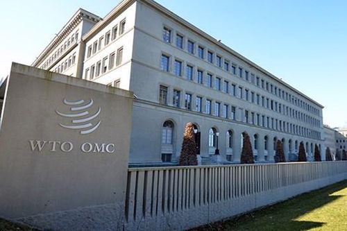 WTO kêu gọi các nước thúc đẩy cải cách ứng phó với những thách thức toàn cầu mới