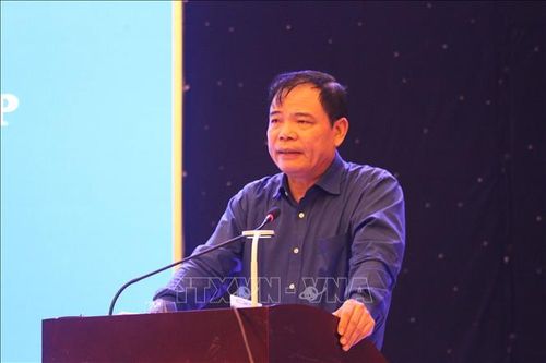 Dồn lực khôi phục sản xuất nông nghiệp sau bão lũ ở miền Trung
