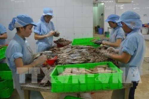 Thủy sản An Giang giảm mục tiêu lợi nhuận cho năm 2021