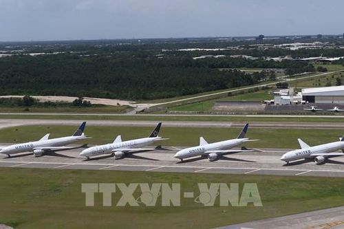 IATA: Doanh thu của các hãng hàng không năm nay sẽ giảm 60%