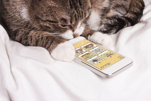 Con người sắp giao tiếp được với loài mèo nhờ ứng dụng này trên điện thoại