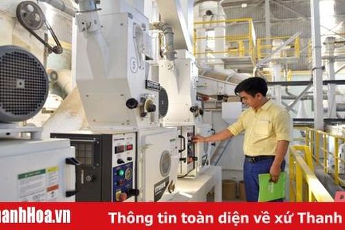 Cận cảnh nhà máy chế biến gạo đầu tiên tại Thanh Hóa