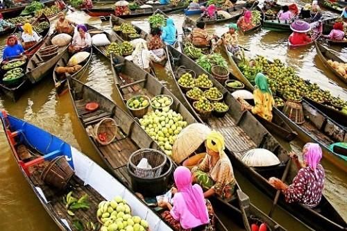 Sản phẩm nông nghiệp sẽ là trụ cột phát triển kinh tế chính của Đồng Bằng Sông Cửu Long
