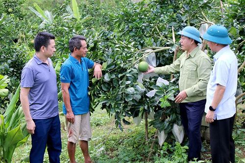 Chương trình 135 thay đổi đời sống người dân