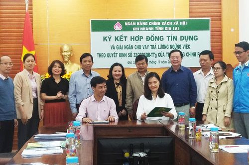 Ngân hàng Chính sách Xã hội tỉnh Gia Lai ký kết hợp đồng cho vay trả lương ngừng việc