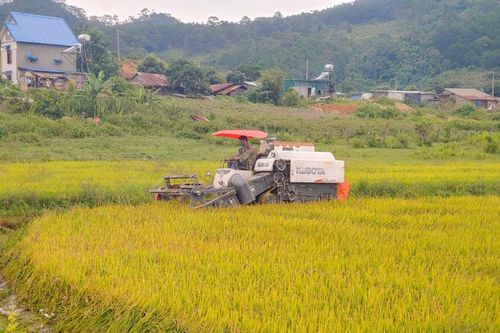 Khoa học và công nghệ thúc đẩy phát triển vùng đồng bào dân tộc thiểu số