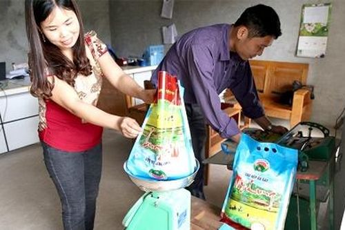 Yên Lập phát triển kinh tế tập thể